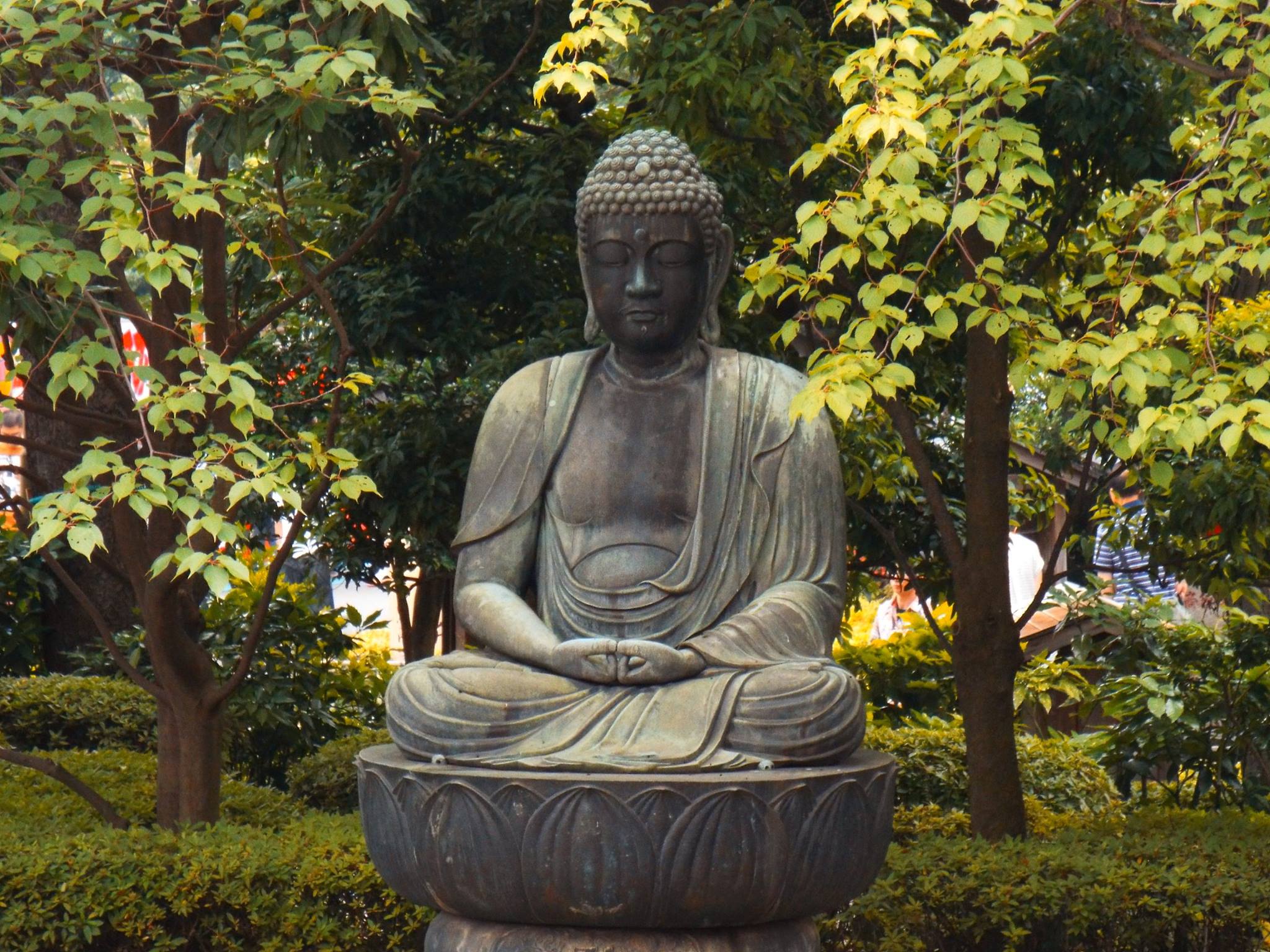 a Buddhist statue 